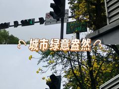 -广州市流溪河国家森林公园
