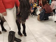 -凯德广场(西城店)