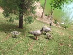 -济南野生动物世界