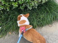 -星巴克(扬州珍园店)