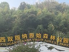 -西双版纳原始森林公园