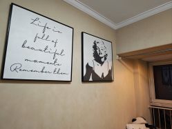 -演员的秘密·皮肤管理