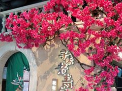 -前海沿·青岛菜(李沧万达店)