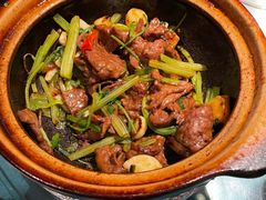-煲煲好(朝阳门店)