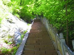 -洛阳白云山景区