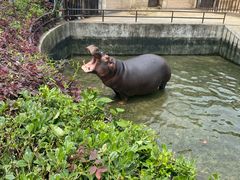 -合肥野生动物园