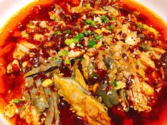 凉拌鸡-铁公鸡·四川料理(天环广场店)