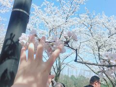 -杭州少年儿童公园