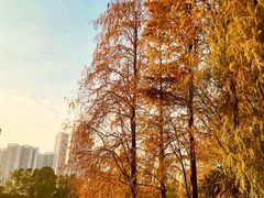 -肥妹烧腊店(洪湖店)