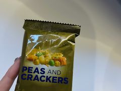 -新加坡航空公司(ION)