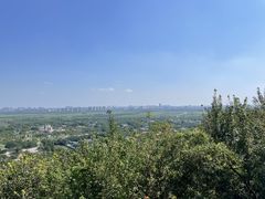 -上海佘山国家森林公园天马山园