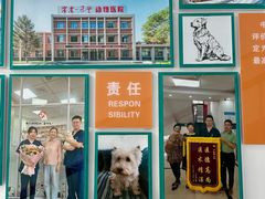 -派美特宠物医院·核磁CT·骨科肿瘤·疑难转诊(沈农禾丰店)