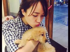 -Oh My Dog宠物沙龙(伊珊娜皮毛护理店)