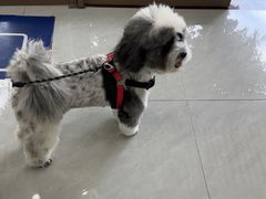 -宠颐生猫科·内科皮肤科(西平世纪城店)