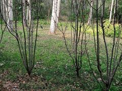 -秦皇岛野生动物园