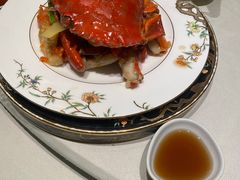 -蝶园·装修中(BFC外滩金融中心店)