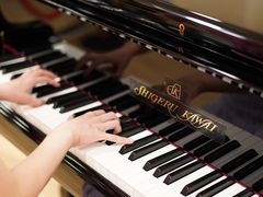 -柏斯琴行(汾阳店)