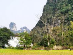 -明仕田园