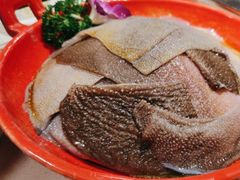 -二荆条·蜀鲜汇城市森林火锅
