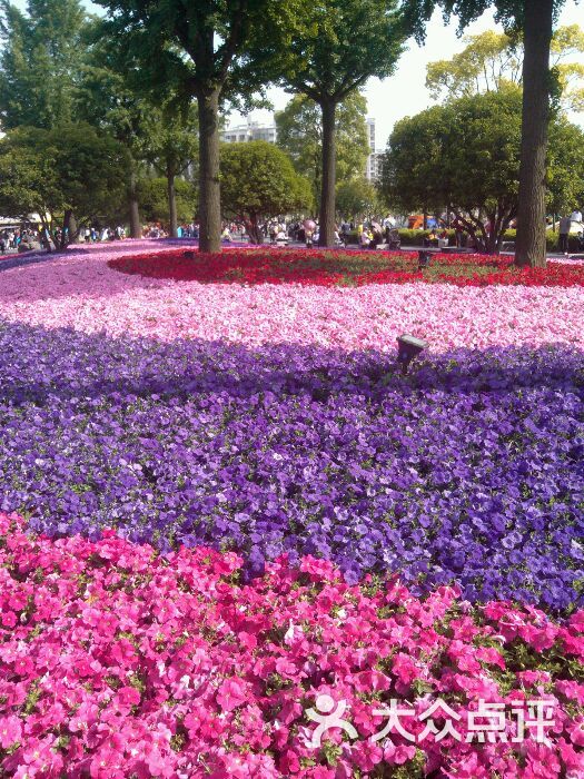 由由嘉园图片 - 第124张