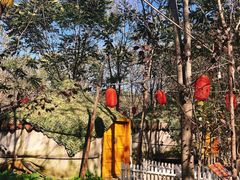 -草根堂农场