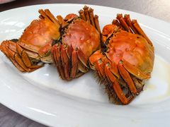 -滕头生态酒店(奉化店)