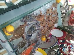 重庆阳光五洲大酒店阳光西餐厅-阳光五洲大酒店·宴会厅