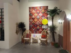 -好看加白色房子