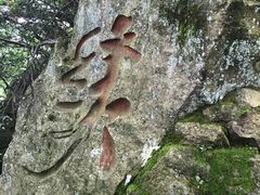 -天目山大树王景区