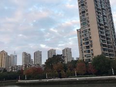 -新湖明珠城