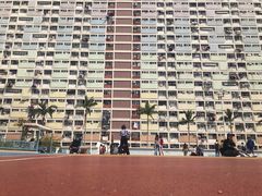 -彩虹村