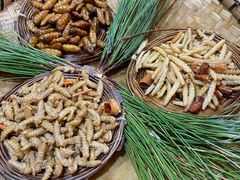 -昆虫窝子·特色云南菜(拓东路总店)