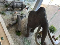 -中国第四纪冰川遗迹陈列馆