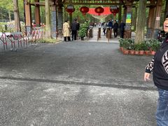 -东平国家森林公园