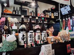 -金龙咖喱