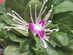 -朝天门火锅(围场店)