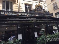 -金蜗牛