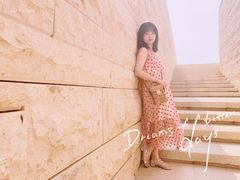 -盘龙城国家考古遗址公园