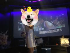 -黑桃K生日订制KTV