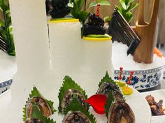 鲍鱼-神洲四海大酒楼(王府井澳门中心店)