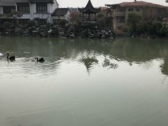 -常州武进九洲喜来登酒店