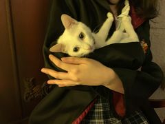 -逃脱反斗城沉浸剧情密室(北京路店)