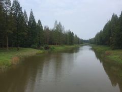 -黄海国家森林公园