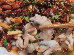 黑鱼花-三猫黑鱼花(南大店)