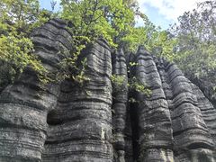 -梭布垭石林景区