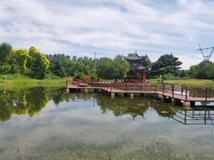 -黑龙江省森林植物园