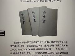 -中国宣纸文化园