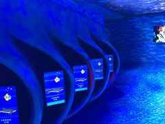 -迪拜水族馆及水下动物园