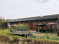 环境-田园东方蜜桃村的田野营地