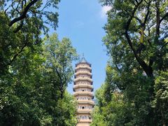 -灵谷景区